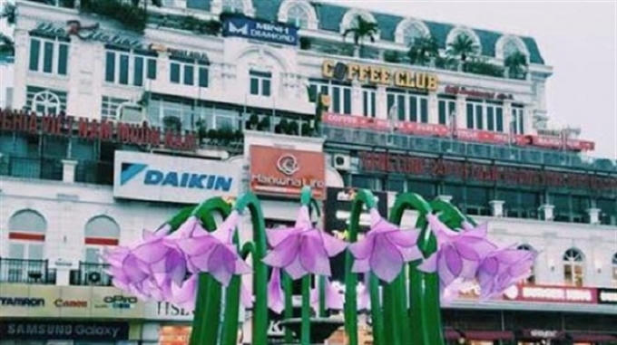 Dàn hoa bị nghi là hoa rau muống ở Hồ Gươm trước khi tháo dỡ. Ảnh: Internet.