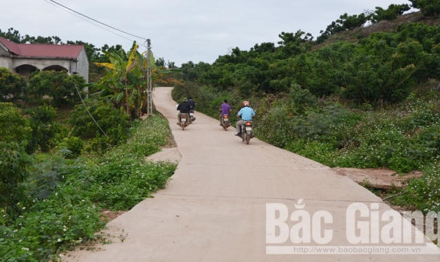 Nhà thầu Công ty TNHH xây dựng và thương mại Sông Lục bị xử phạt vì thiếu kết quả thí nghiệm
