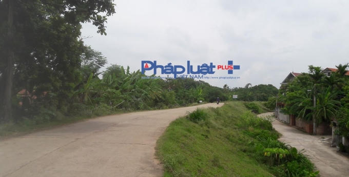 Đoạn đê thuộc địa phận xã Đại Tự, huyện Yên Lạc vẫn nguyên vẹn, như chưa hề có dự án.