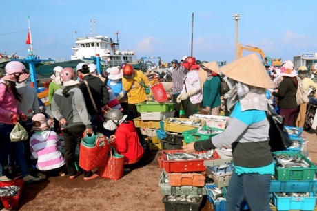 Ghé thăm những chợ hải sản nổi tiếng giá rẻ ở Việt Nam