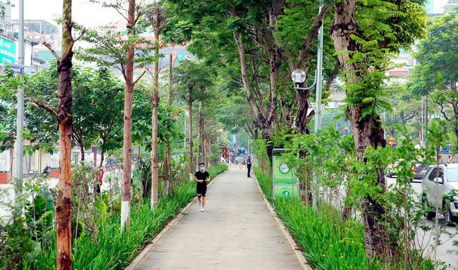 Ảnh minh họa. Ảnh: HNMO.