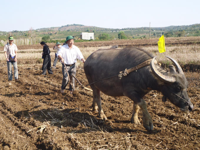 Phần lễ không thể thiếu được Lễ xuống đồng.