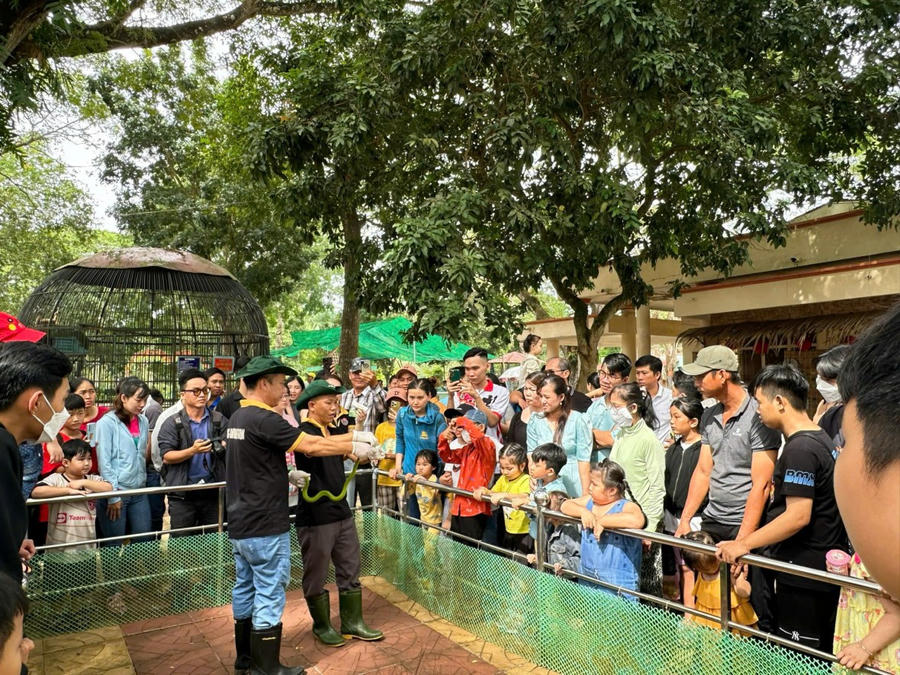 Trại rắn Đồng Tâm - điểm đến thu hút nhiều khách tham quan trong và ngoài nước.