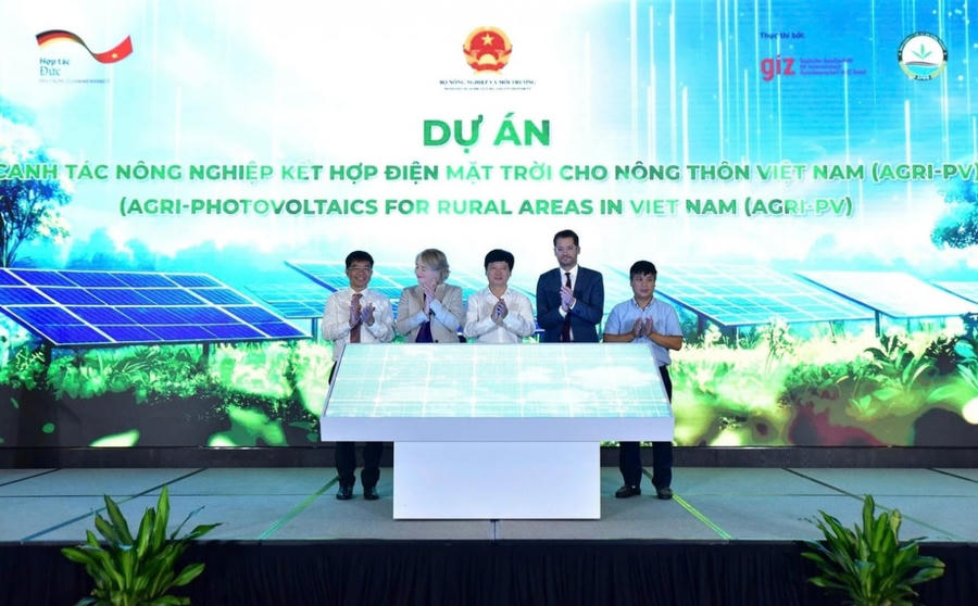 Agri-PV là dự án điện mặt trời nông nghiệp đầu tiên tại Việt Nam. (Ảnh: Kiều Chi)