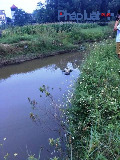 Nạn nhân có tiền sử bênh thần kinh và hay đi lang thang (ảnh: Đào Tấn)