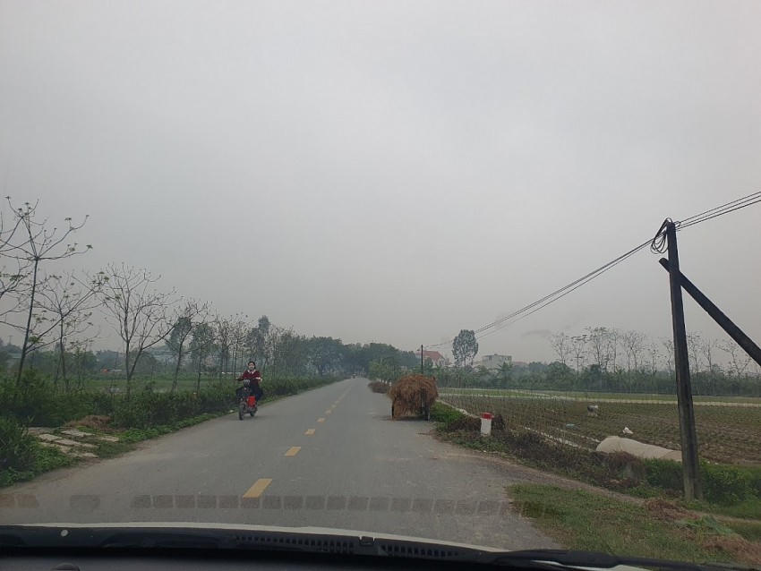 Cánh đồng lúa nơi mà Công ty Công ty TNHH sản xuất thương mại và dịch vụ Minh Vương gắn địa chỉ định vị trên Google Map.