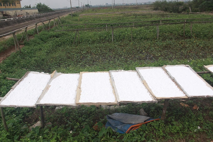 Miến được phơi ngoài cánh đồng