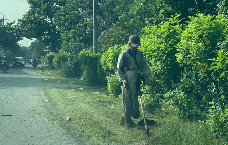 Nông dân cắt cỏ, làm sạch đường sá.