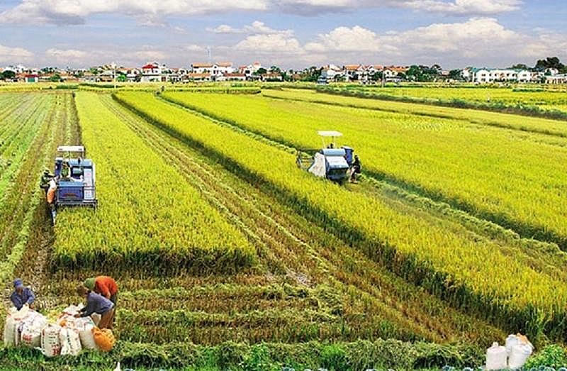 Việc tách thửa đất, hợp thửa đất theo Luật Đất đai 2024 phải bảo đảm các nguyên tắc, điều kiện cụ thể. Hình ảnh mang tính chất minh họa.