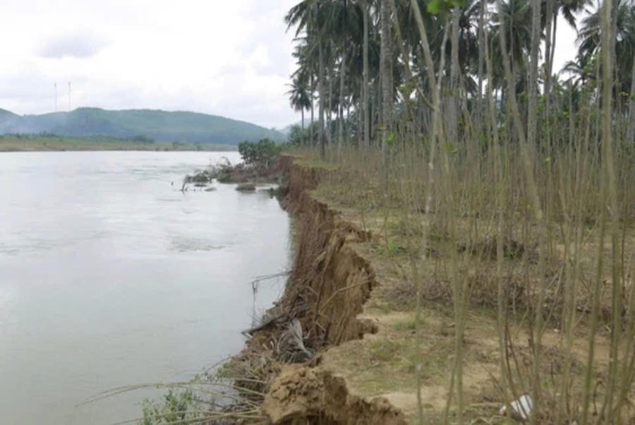 Bờ sông An Lão (xã Ân Mỹ, H.Hoài Ân) bị sạt lở 2,1 km đe dọa hoa màu và nhà dân. Ảnh: H.P