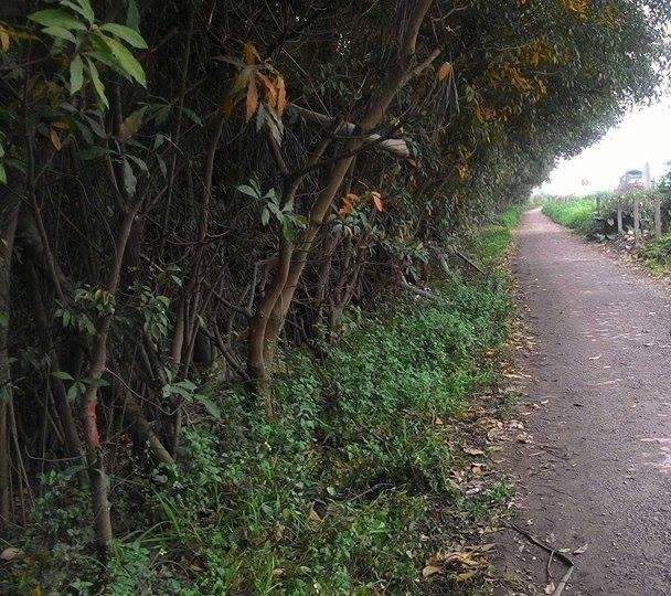 Khu vực nơi xảy ra vụ án mạng.