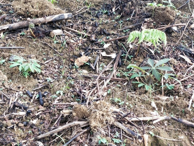 34c05cbc-1645-4dc4-a4b9-f962c95a2c46