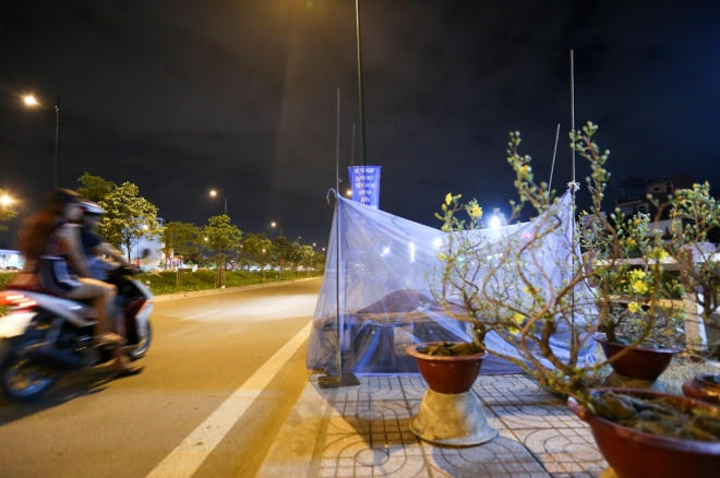 Khoảng một tuần nay, những người buôn mai, quất, hoa Tết ở TP HCM phải thay nhau thức để trông coi, đề phòng mất cắp. Trên đường Phạm Văn Đồng, những người bán mai mắc màn ngủ vỉa hè, thay phiên nhau coi hoa.