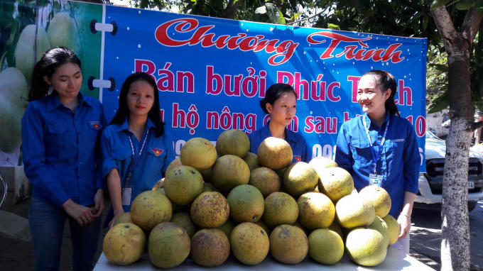 Bưởi Phúc trạch được vận chuyển về TP Vinh để giúp bà con nông dân tiêu thụ sản phẩm sau cơn bão số 10.