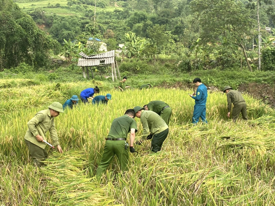 9077F667-B359-4CB8-A99E-ADD30595C4DF.