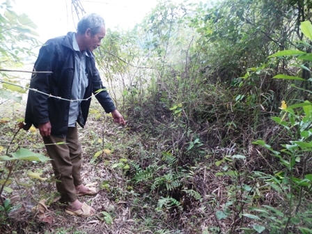 Dấu vết của việc đào bới mộ để tìm cổ vật hàng chục năm vẫn còn.