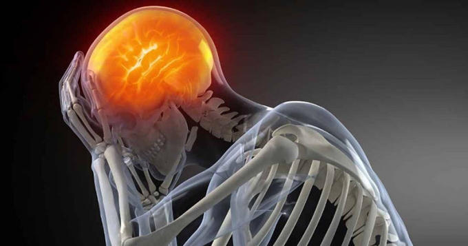 Não bộ của con người có thể bị ảnh hưởng bởi những hóa chất độc hại tiềm ẩn trong các nguyên liệu nấu ăn quen thuộc.