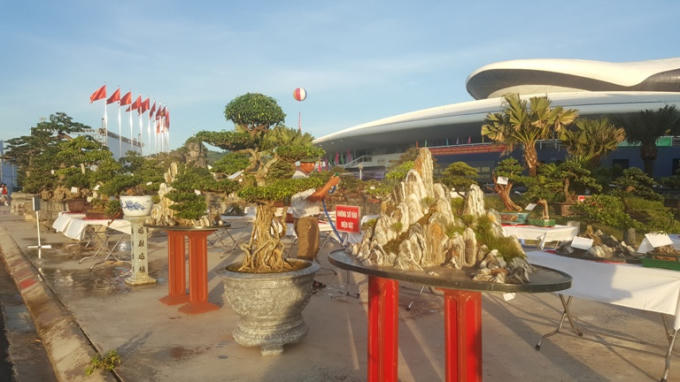 Chiêm ngưỡng những tác phẩm nghệ thuật Bonsai đặc sắc tại hội chợ OCOP Quảng Ninh lần thứ V