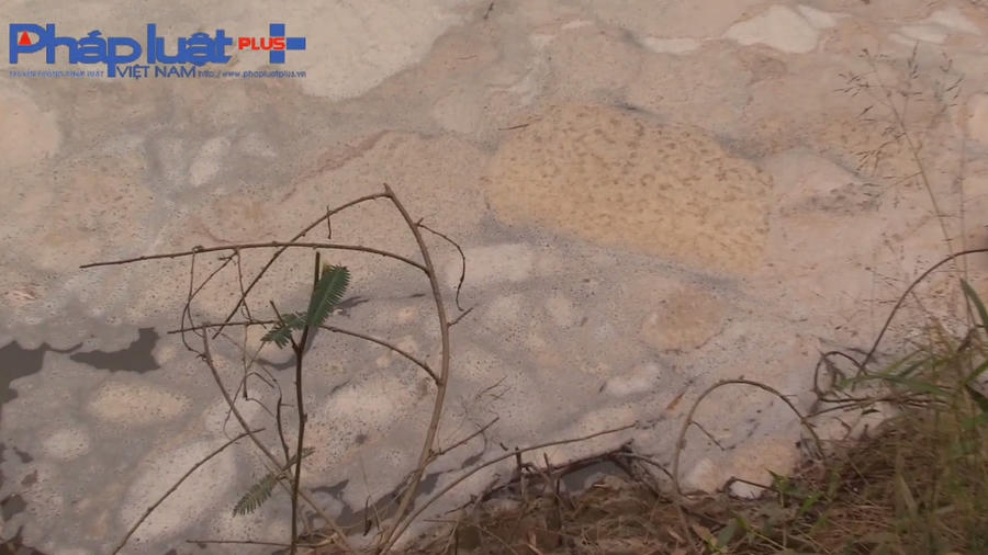 z3952392668701_21600bbc200b8490c06f722d36a191c7-0736