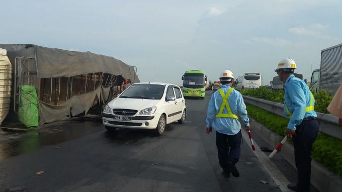 Chiếc xe tải bị lật nghiêng khiến toàn bộ trâu trên xe đổ bộ xuống đường.