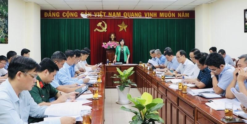 Phó Chủ tịch UBND tỉnh Nguyễn Thị Hoàng chủ trì họp tháo gỡ vướng mắc phân khai vật liệu và pháp lý khai thác khoáng sản.