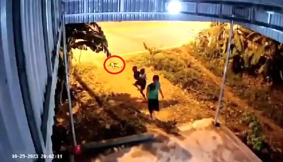 Sau đó bé gái 3 tuổi bị bố ném ra xa.