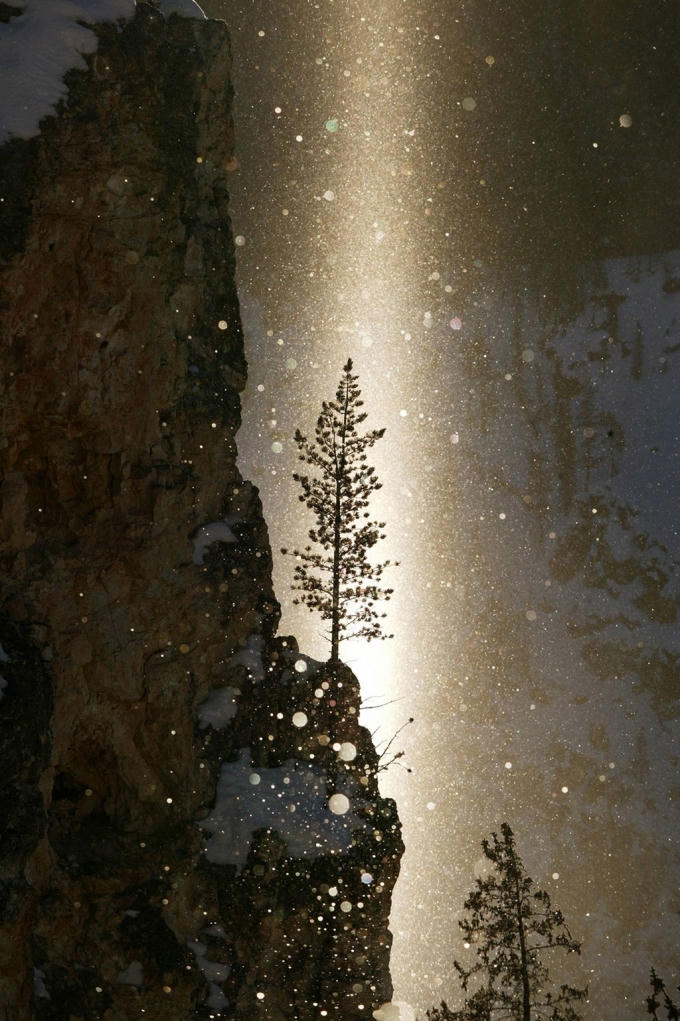 Mặt trời mọc vào ngày đông ở Vườn quốc gia Yellowstone, tiểu bang Wyoming, Mỹ. Ảnh: Martin Jehnichen.