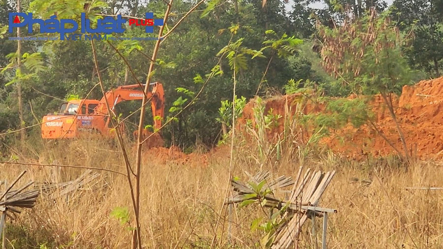 z4106037343125_569246c7fa39d194dce690566f160bf5