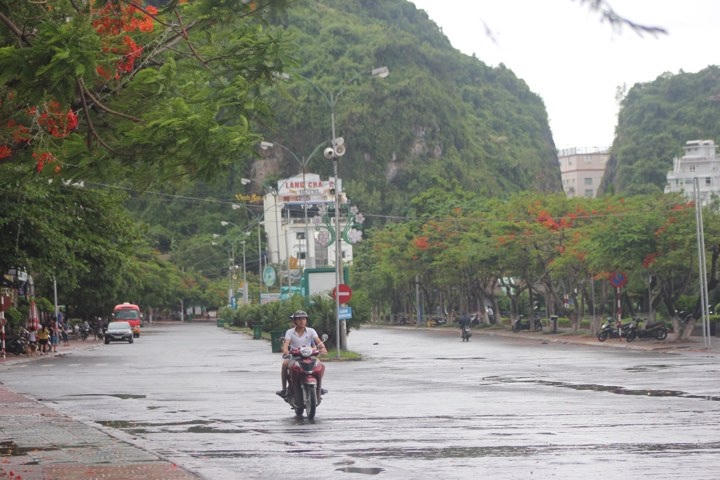Đường phố ngập sâu, cây xanh gãy đổ ngổn ngang sau bão số 3 - 7