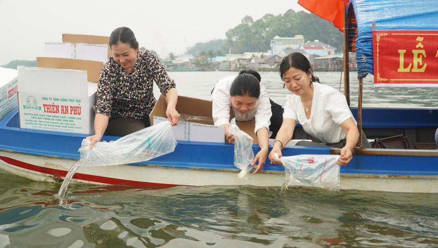 các đại biểu tiến hành thả con giống tái tạo nguồn lợi thủy sản trên đầm Đông Hồ