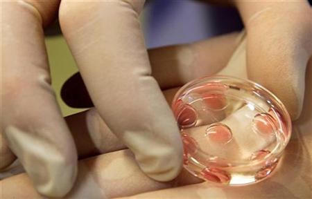B&aacute;c sĩ lấy tinh tr&ugrave;ng của m&igrave;nh thụ tinh cho 50 người