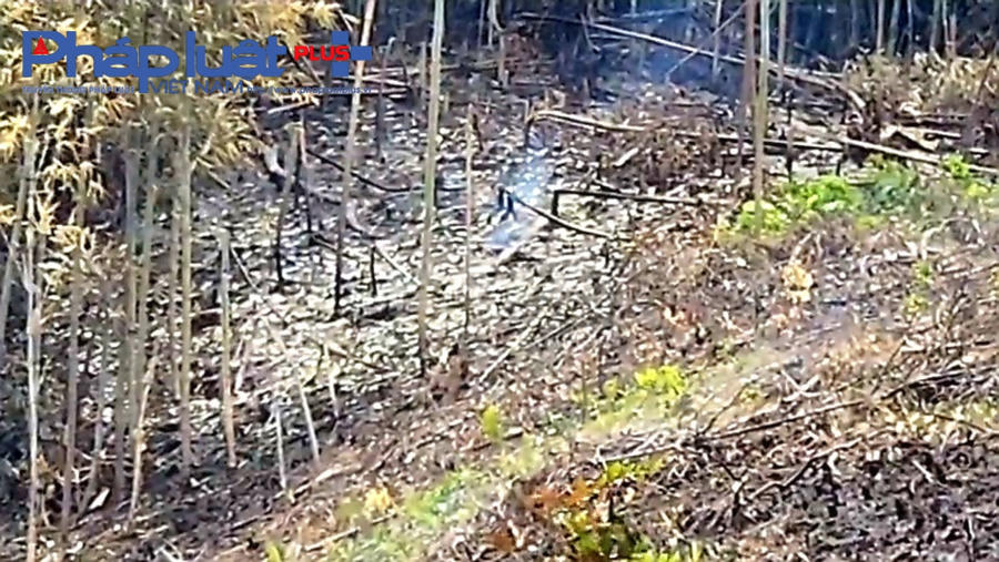 z4397430436386_b854e9f5b2f54ea2f555034b21e7361d