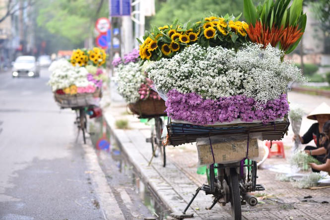 Trên các tuyến phố tràn ngập sắc hương của các loại 