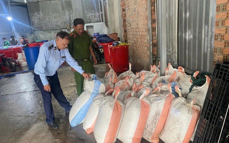Hơn 1,1 tấn hạt đác tươi không rõ nguồn gốc bị lực lượng chức năng phát hiện, thu giữ.
