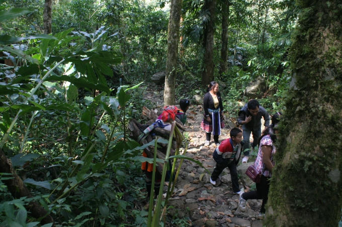 Đường lên Thác Trái Tim hai bên "cỏ cây chen lá, đá chen hoa".