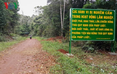 Mặc dù làm công tác bảo vệ rừng nhưng các nhân viên Công ty Lâm nghiệp Đăk Roong đã thiếu hiểu biết về pháp luật trong lĩnh vực bảo vệ rừng.