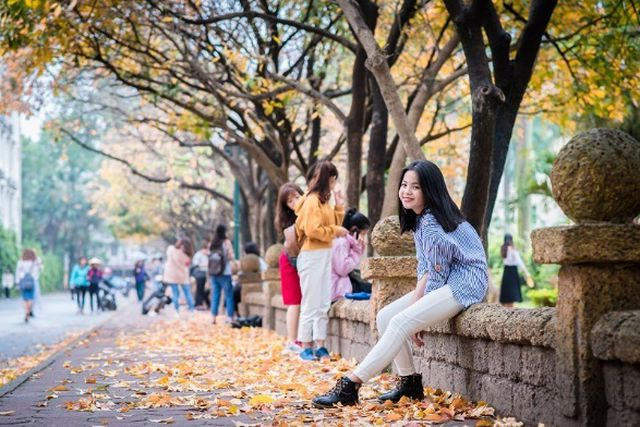 Nhiều người ví von con đường này chính là con đường thủy sam thu nhỏ bởi vẻ đẹp lãng mạn mà nó mang lại mỗi độ cây lộc vừng vào mùa thay lá (ảnh: Nguyễn Văn Qua)