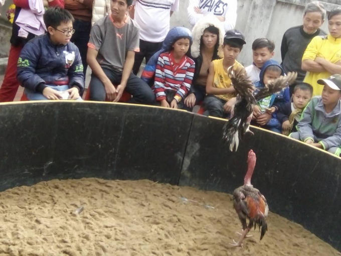 Một chú đã thu và bỏ chạy, nhảy ra khỏi sân thi đấu.