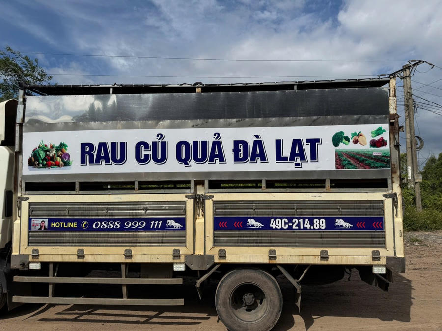 Dùng xe chở rau củ quả để chở heo nghi bị dịch tả lợn châu Phi đi tiêu thụ.