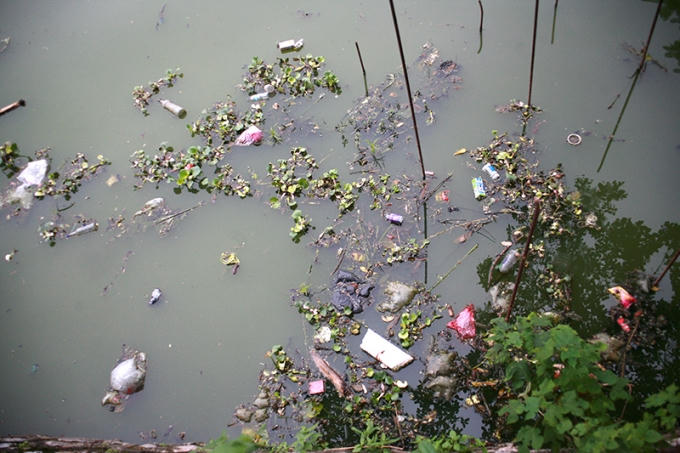 Mầm mống bệnh tật trong