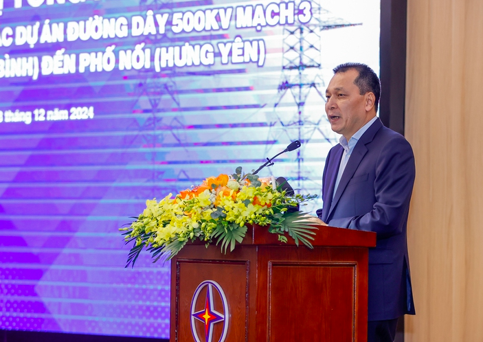 Chủ tịch HĐTV EVN Đặng Hoàng An phát biểu tại hội nghị - Ảnh: VGP