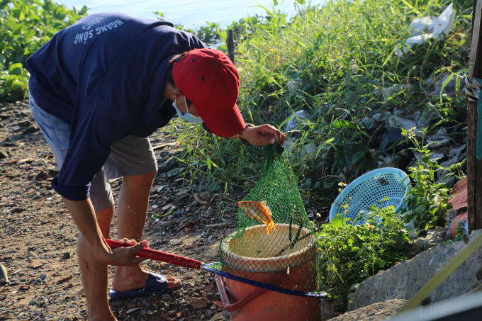 Cho vào thùng mang đi bán lại.