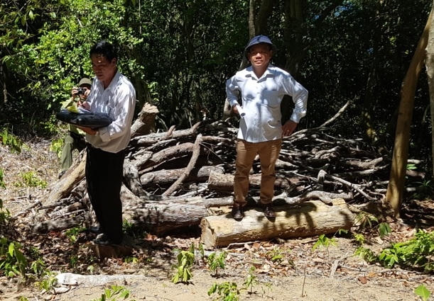 Ông Mạnh khẳng định trong quá trình dọn dẹp ông đã cho cắt khúc và xếp gọn ngàng bên cạnh. Tất cả các khúc gỗ đều còn nguyên ở tại hiện trường, các đoàn kiểm tra cũng đã đo đếm, chứ tôi chưa hề vận chuyển một khúc gỗ, thậm trí là một mẩu gỗ nhỏ nào ra khỏi rừng.