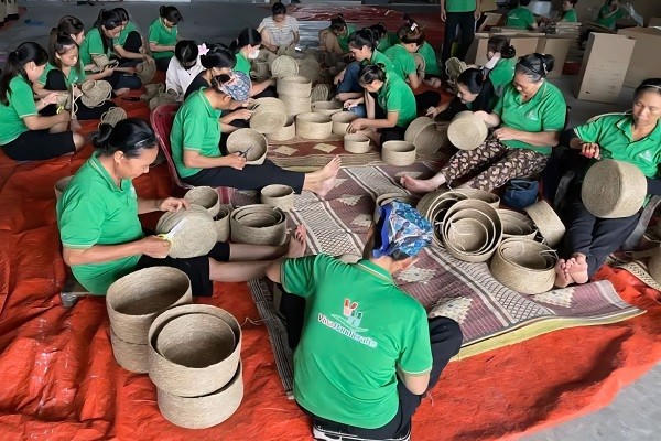 Là một giáo viên dạy nhạc, song nhận thấy thế mạnh của làng nghề thủ công dệt cói Kim Sơn, chị Trần Thùy Nhi đã thành lập Công ty TNHH Vina Handicrafts để đưa các sản phẩm từ cói có mặt tại hơn 20 quốc gia trên thế giới.