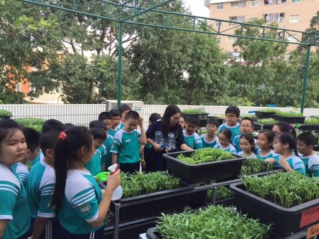 Vườn rau thân thiện không những hỗ trợ các môn học nhà trường như kỹ thuật, tự nhiên xã hội, tập làm văn.