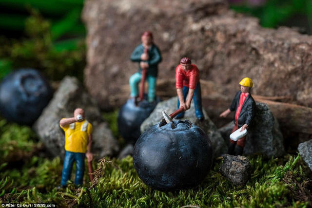 Hình ảnh về một thế giới thu nhỏ với những hình người nhỏ xíu đặt bên cạnh những vật dụng thường ngày, để tạo nên những cảnh quan vừa thực vừa ảo không phải một ý tưởng mới lần đầu xuất hiện. Nhưng nghệ sĩ Péter Csákvári đã thực hiện những bức ảnh đẹp đầy ấn tượng và lôi cuốn.