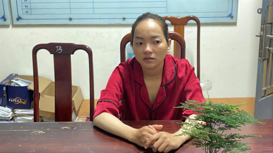 Đối tượng Trần Thị Thu Phương.