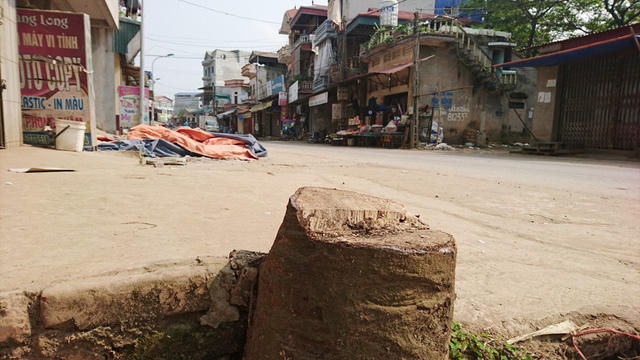 Thêm một xã ở Hà Nội bất ngờ chặt hàng loạt cây xanh