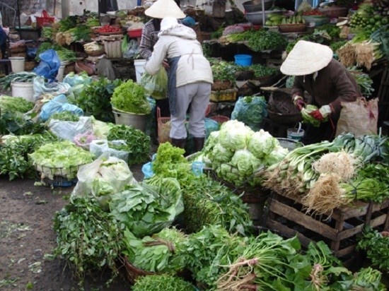 Theo kết quả giám sát có gần 4% mẫu rau chứa tồn dư thuốc bảo vệ thực vật vượt ngưỡng.