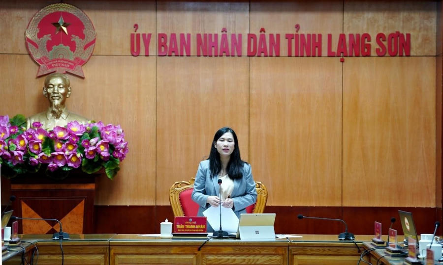 Bà Trần Thanh Nhàn, Phó Chủ tịch UBND tỉnh phát biểu kết luận cuộc họp.